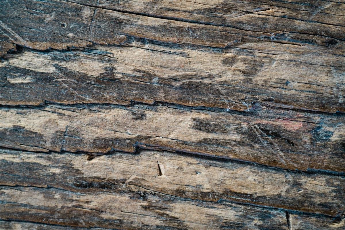 Viga de madera dañada