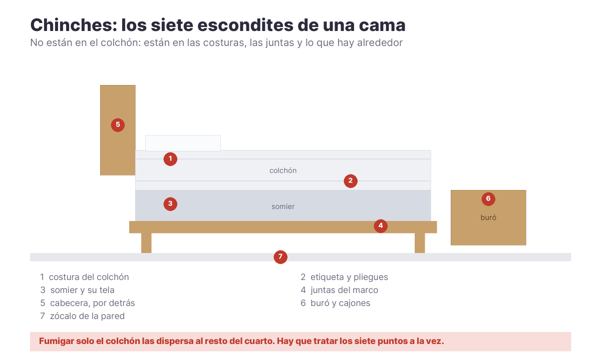 Esquema de una cama con los siete puntos donde se esconden las chinches: costuras, somier, marco