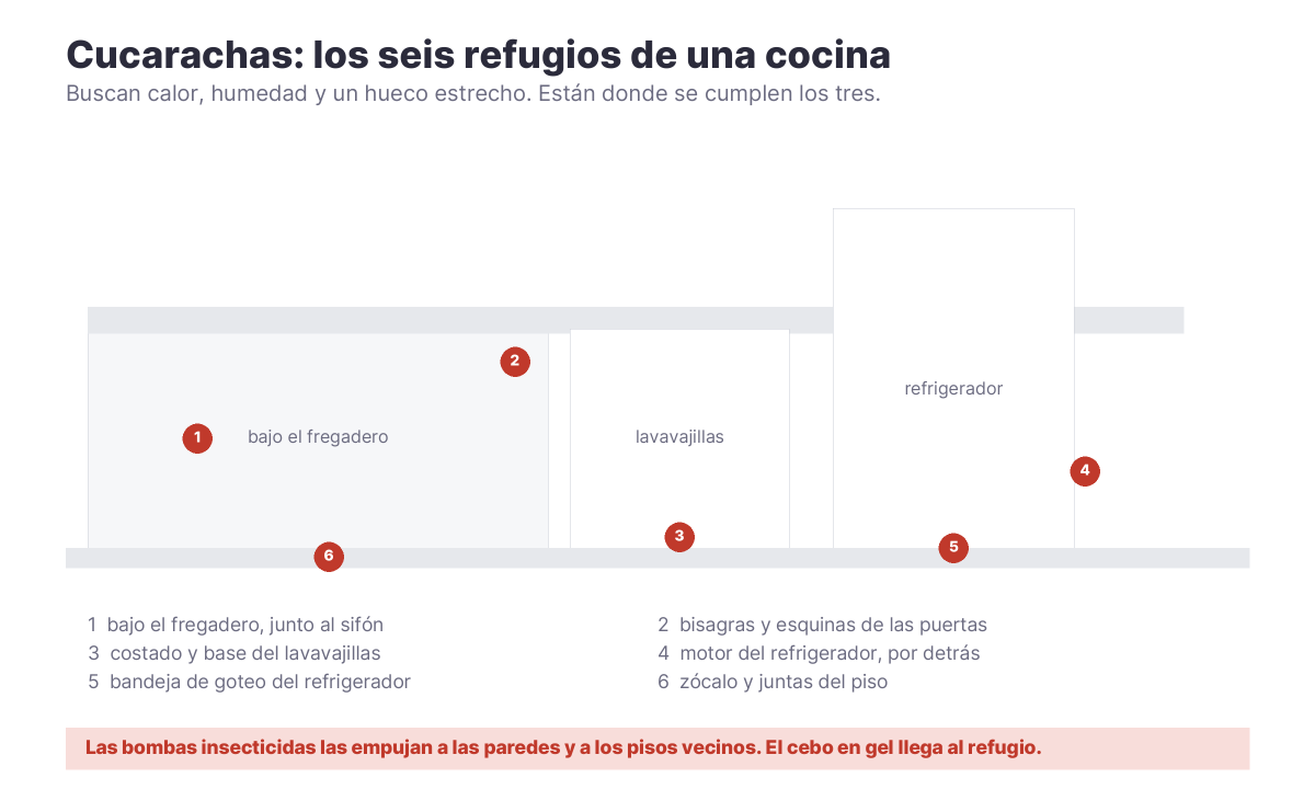 Esquema de una cocina con los seis refugios de las cucarachas: bajo el fregadero, bisagras