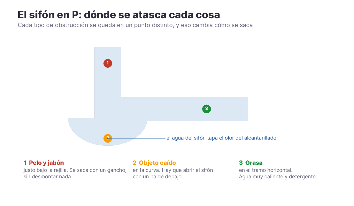 Corte de un sifón en P señalando los tres puntos donde se acumulan el pelo, los objetos caídos