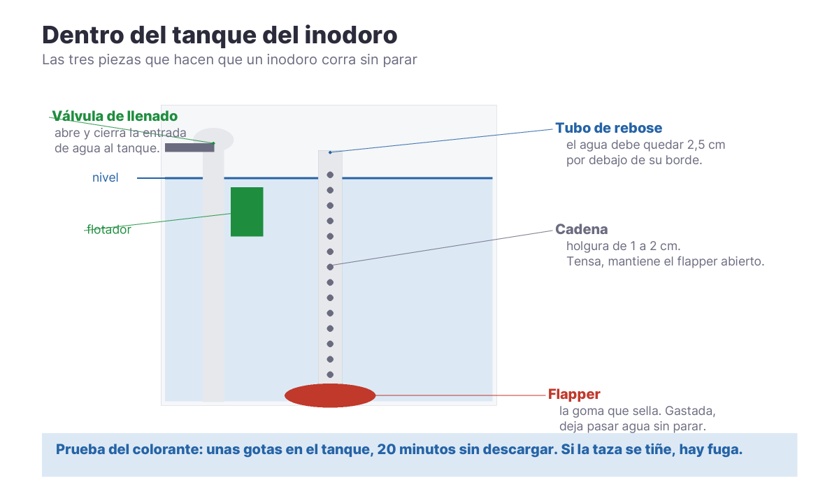 Despiece del tanque de un inodoro con el flapper, la cadena, el tubo de rebose y la válvula